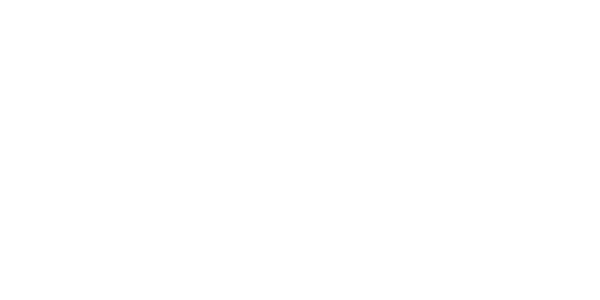 나이스페이 logo